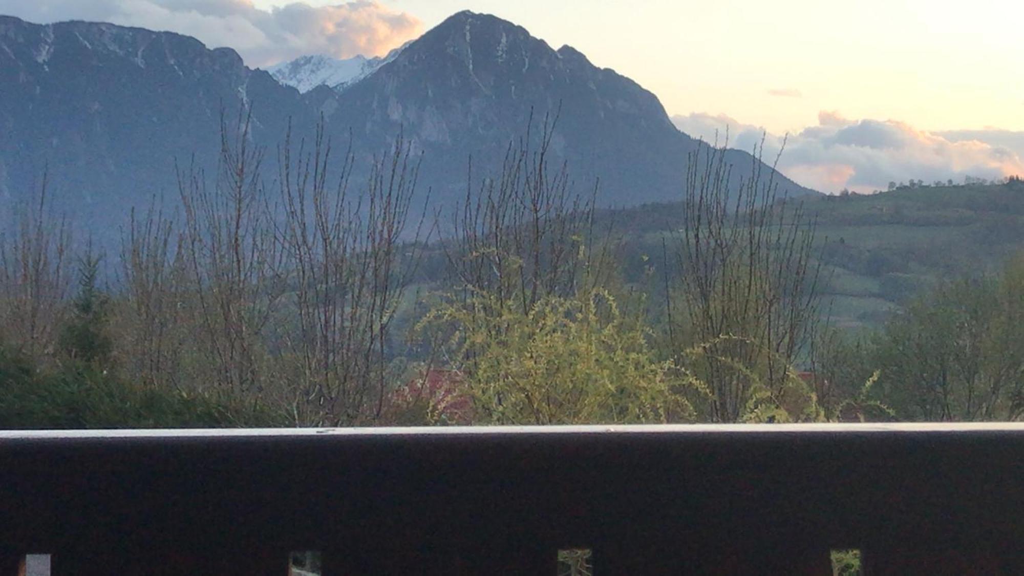 Pension Chalet Poiana Marului Ranch Dış mekan fotoğraf
