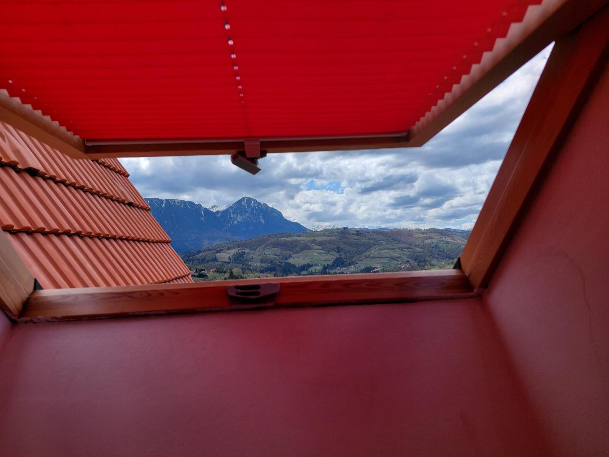 Pension Chalet Poiana Marului Ranch Dış mekan fotoğraf